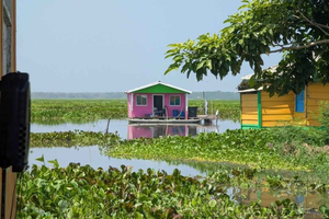 Desde Santa Marta: tour de 1 día a Nueva Venecia y Ciénaga Grande