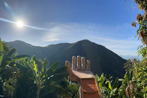 Medellin: Coffee and fruit tour