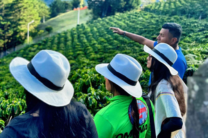 Medellín: Coffee Farm Tour - Taste the Stories of the Sierra