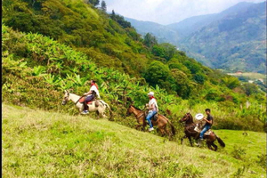 MEDELLÍN: Paardrijden op een traditionele Colombiaanse ranch
