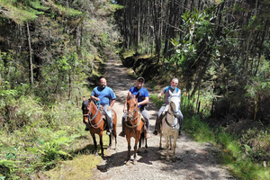 Medellín: Passeio a cavalo pela fazenda de café com spa de café