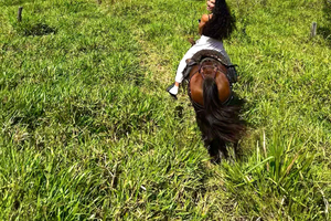 Medellín: Horseback Riding, Glamping, & Finca 360° view Stay