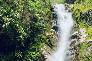 Medellín: Secret Waterfall Hike Tour with Snack and Coffee