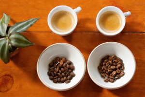 Medellín: le Ande in tazza - Una degustazione di caffè
