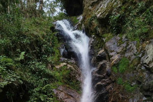 Medellín: Trekking and nature adventure at the Chorro de Campanas waterfall