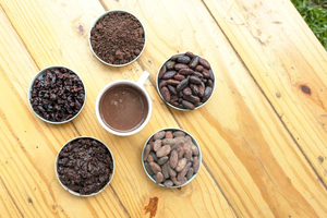 Minca: Artisanal Cocoa Workshop at Casa Jocolate