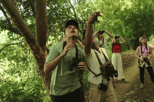 Minca: Birdwatching at sunrise with Jungle Joe