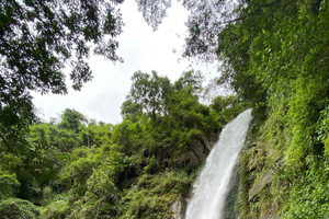 Minca: Tour to Jaguar Waterfall, Marinka, Coffee Farm, and Sunset