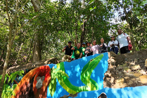 Monkey's Creek : une aventure extrême de randonnée dans la forêt tropicale