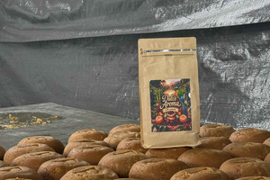 Panela Experience: scopri la dolce tradizione della Colombia