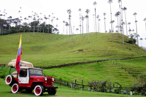 PEREIRA/ARMENIA: FULL-DAY TRANSFER SALENTO + FILANDIA + COCORA VALLEY