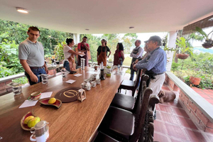 Pereira: Sensory Coffee Experience with premium tasting