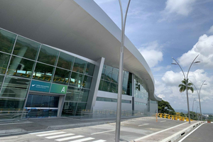 Private Pereira Airport Transfer: To/From Salento