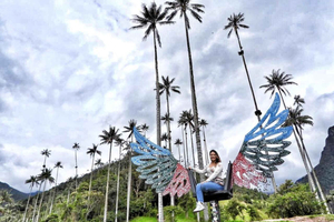 Salento/Pereira: Cocora Valley & Salento Hiking Private Tour
