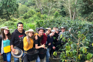Salento: Privétour door de Cocora-vallei, Salento en de koffieboerderij