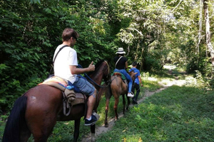 Santa Marta: Horseback riding on Los Naranjos beach Tayrona