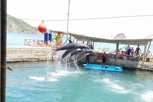 SANTAMARTA: TOUR Combo boat taxi, aquarium, lunch, and white sand beach
