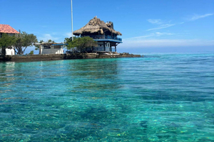 Sightseeing tour of the Rosario Islands (snorkeling, lunch and raccoons)