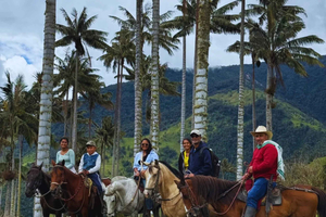 Senda de Gigantes: Ridning i La Carbonera
