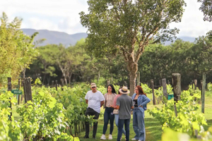 Villa de Leyva: ioga no vinhedo, degustação de vinhos e meditação