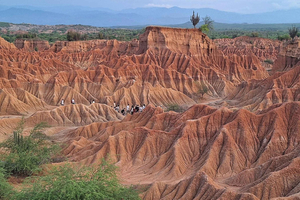 Visit the Tatacoa Desert for a photo shoot