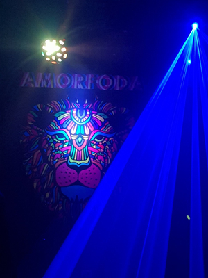 Amorfoda Axm