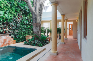 Casa Jaguar Cartagena