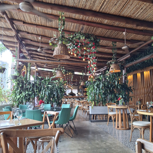 Casa Riosa
