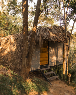 Ecolodge Palonegro
