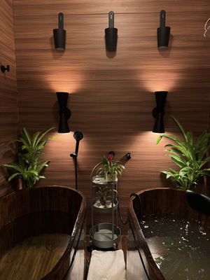 Element Wellness Center