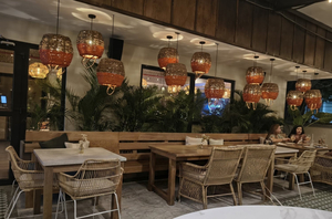 Harissa Bocagrande Cartagena