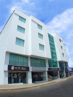Hotel Andino SAS