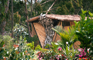 Hotel PIA Colombia