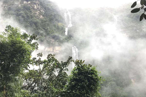 La Chorrera Waterfall Hike