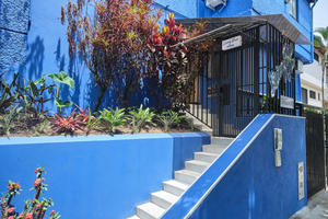 Living Blue