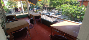 Mi Palenque