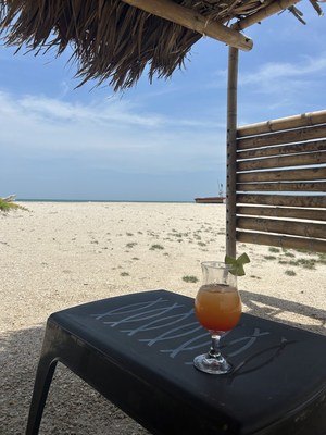 Oasis Playa