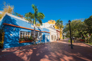 Byrundtur i den gamle bydel og Quinta Pedro Alejandrino Santa Marta