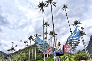 Salento/Pereira: Cocora Valley & Salento Hiking Private Tour