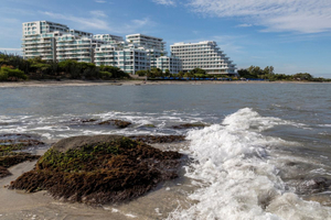 Santa Marta Marriott Resort