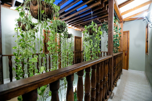 Scalea Di Mare Hotel