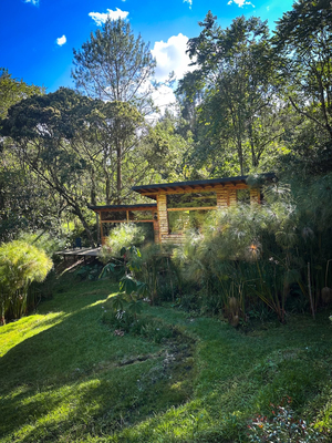 Shanti Wellness