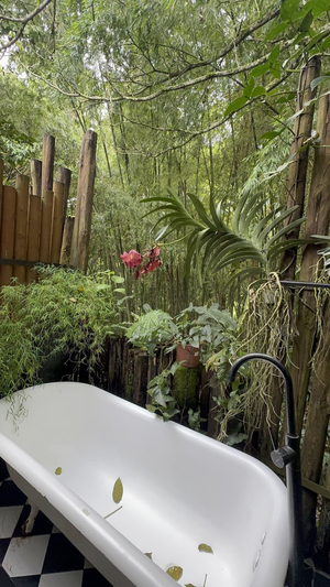 Tisuue Spa Pereira
