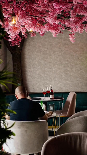 Zima Café Gastrobar