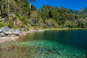 Araucania
