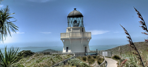 Auckland South