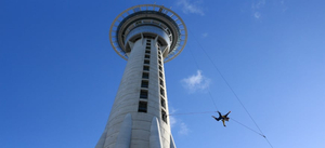 Auckland Top 10