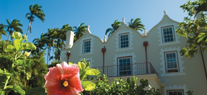 Barbados Rum & Rum Shops