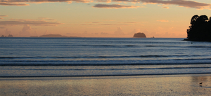 Coromandel