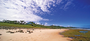 東海岸